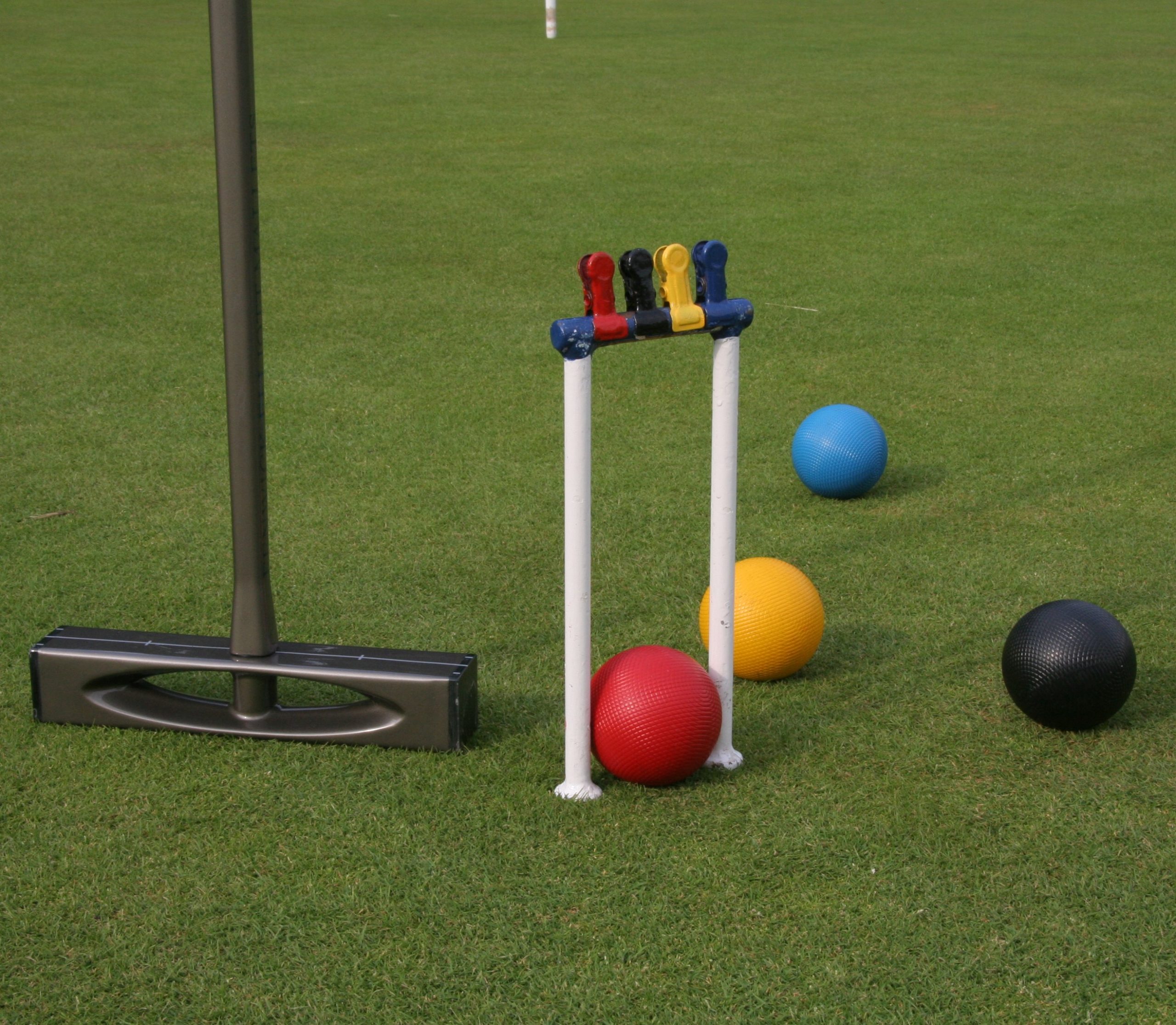 Golf Croquet Tournament